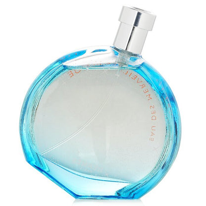 Hermes Eau Des Merveilles Bleue Eau De Toilette Spray 100ml